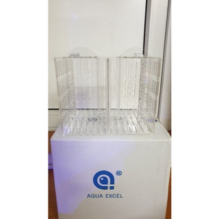 Lồng mica bẫy và dưỡng cá