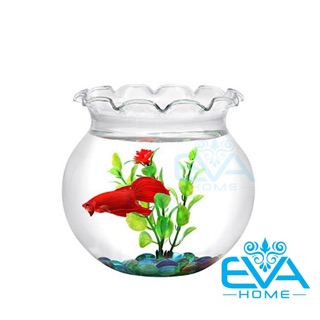 Hồ Cá Bể Cá Thuỷ Tinh Miêng Bèo B1 13 x 14 Cm Tặng Kèm Sỏi Và Rong Trang Trí