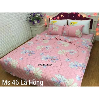 Bộ ga giường cotton