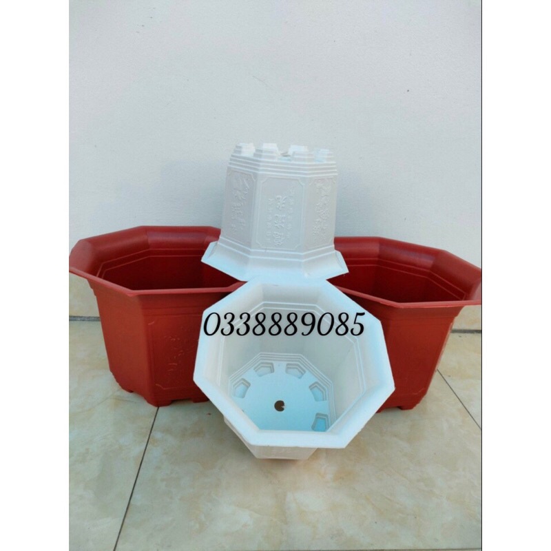 Chậu nhựa bát giác(220-310) trồng cây, hàng dày, đẹp, đủ màu, đủ size, hàng sẵn kho