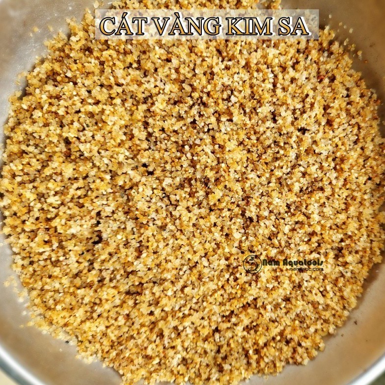 [1kg] Cát Trắng - Vàng Kim Sa | Cát Hạt Lớn - Trải Nền Bể Thuỷ Sinh, Cá Cảnh