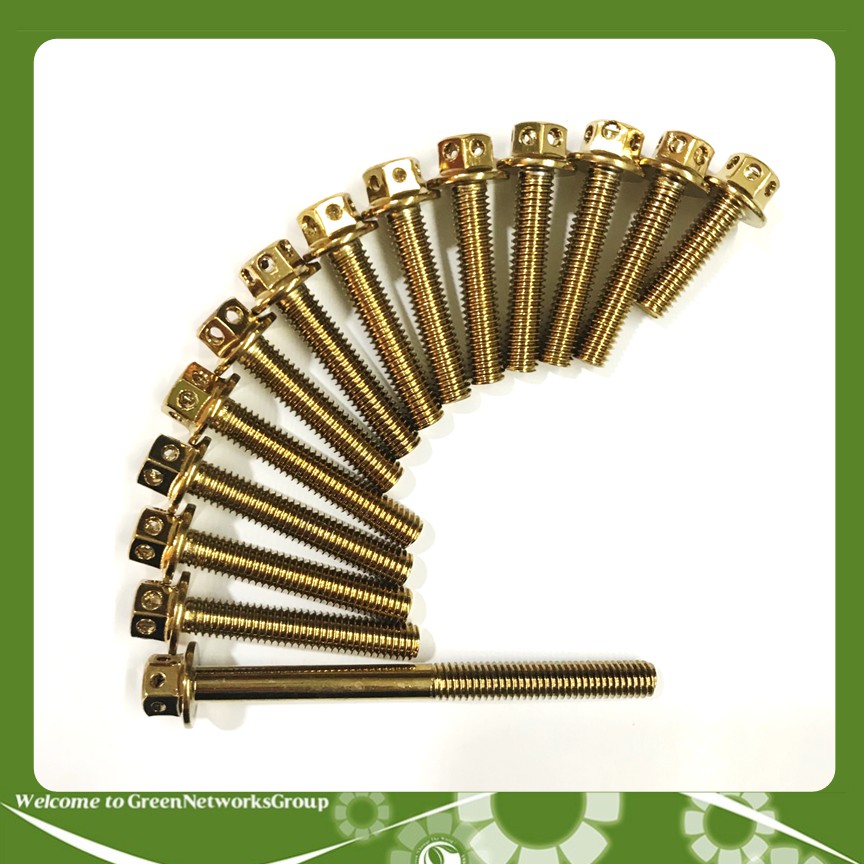 Bộ ốc Vương miệng dành cho xe Winner - Greennetworks