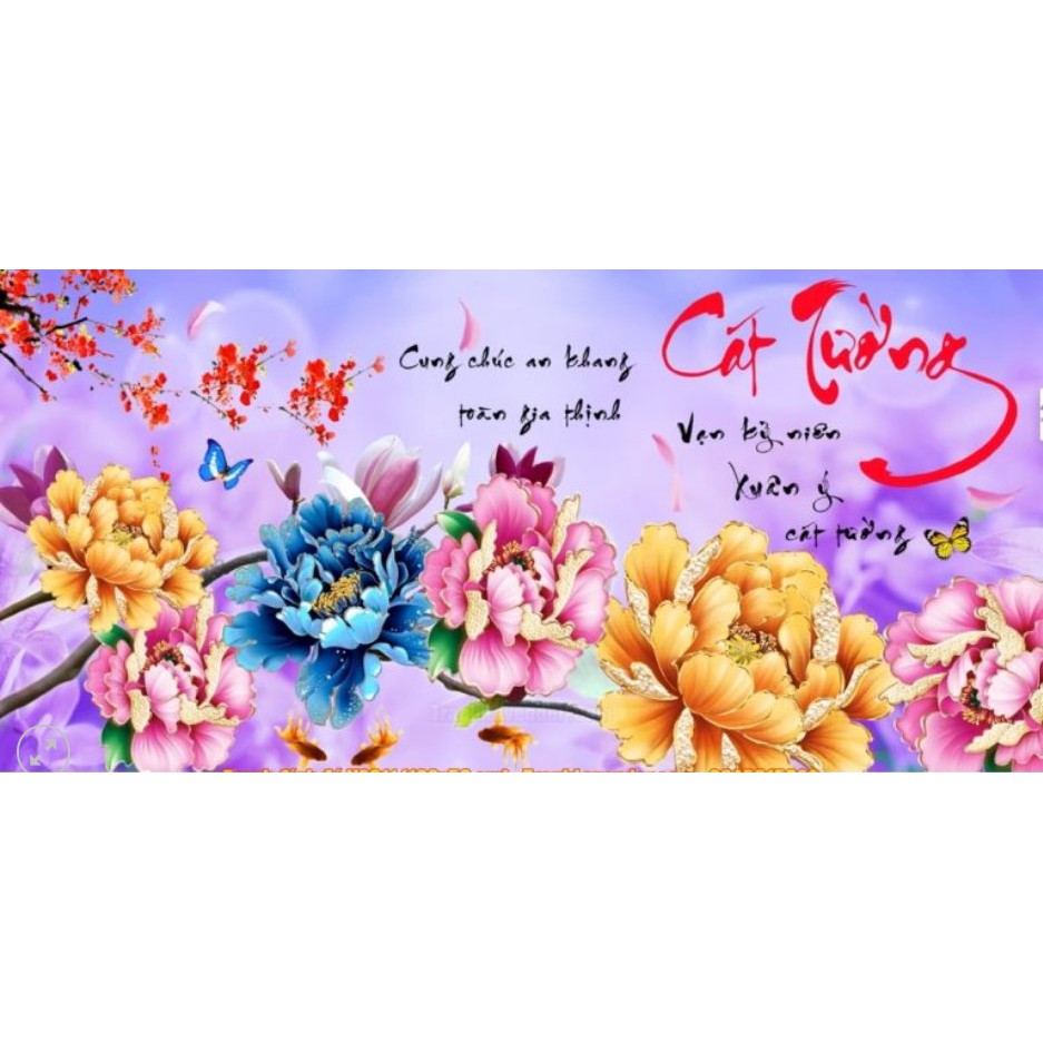 TRANH ĐÍNH ĐÁ CÁT TƯỜNG VS311 (100X53)
