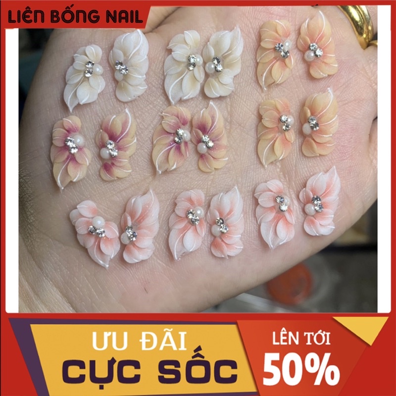 Hoa bột nail mã 003
