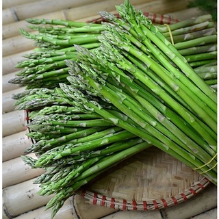 40H_HẠT GIỐNG MĂNG TÂY (NẢY MẦM SIÊU CHUẨN)