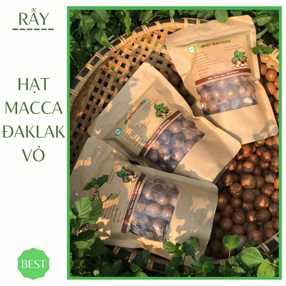 [500gram] Hạt Macca Rẫy Đaklak nứt vỏ loại 1 to đều như nhãn lồng