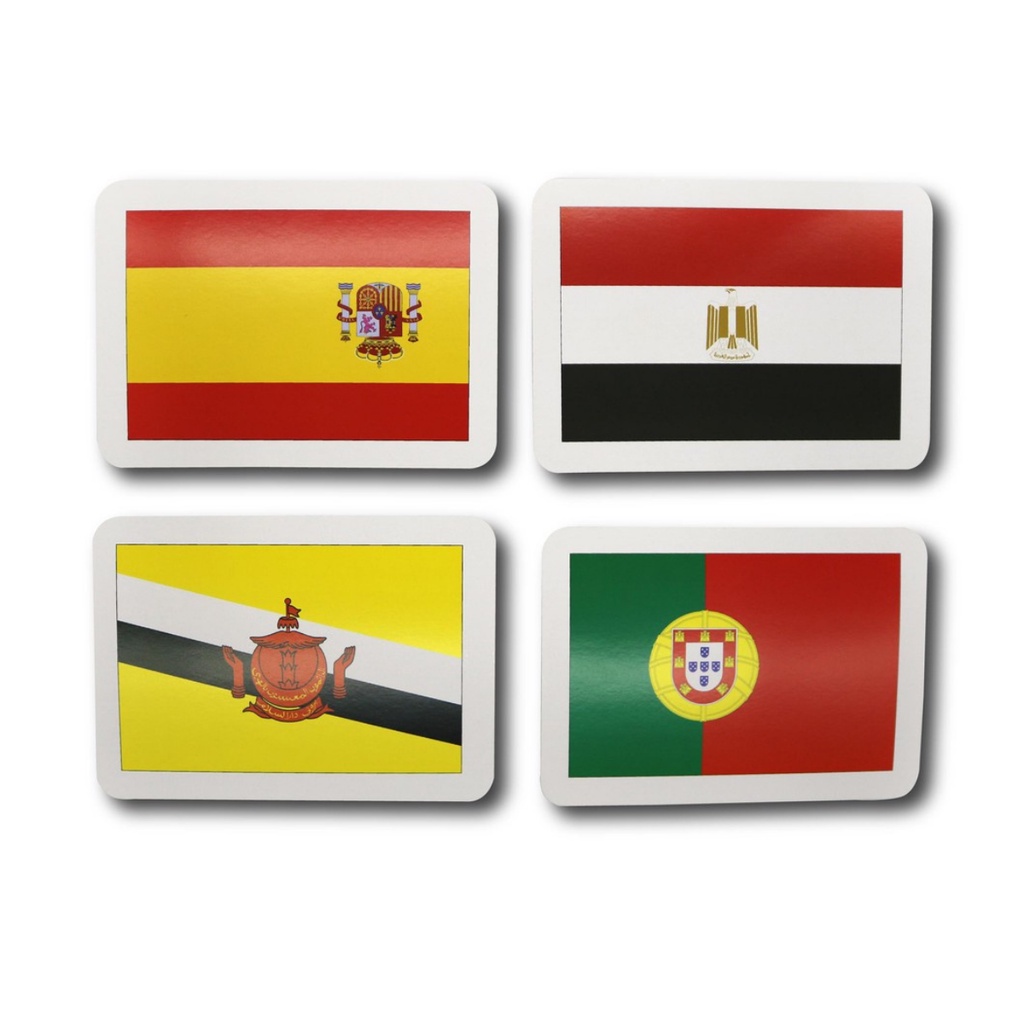 Flashcard glenn doman cho trẻ sơ sinh thẻ thế giới xung quanh chuẩn 300 thẻ chuyên sâu Shop Bố Su