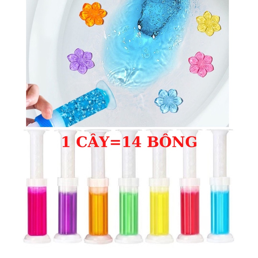 Lọ thả bồn cầu hàn quốc lọ tẩy bồn cầu diệt khuẩn phiên bản mới với 4 màu sắc tự nhiên Viên thả bồn cầu SIGO