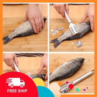 [FREE SHIP] Dụng Cụ Đánh Vảy Cá Inox