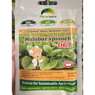 HẠT GIỐNG MỒNG TƠI ( 200 hạt) 50 gram