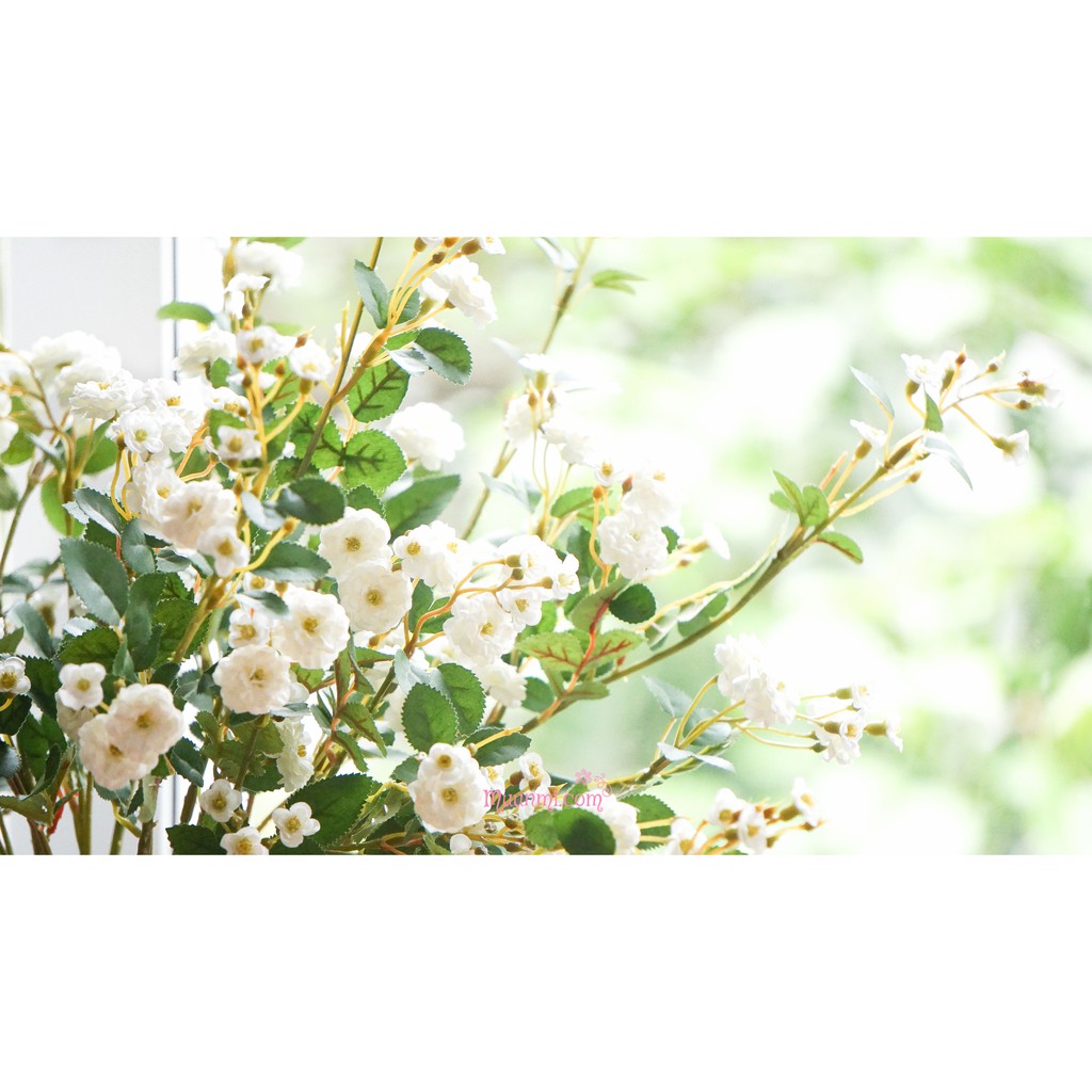 Hoa lụa 🌸  | Cành HOA NHÀI LEO màu TRẮNG đẹp nhẹ nhàng đầy tinh tế
