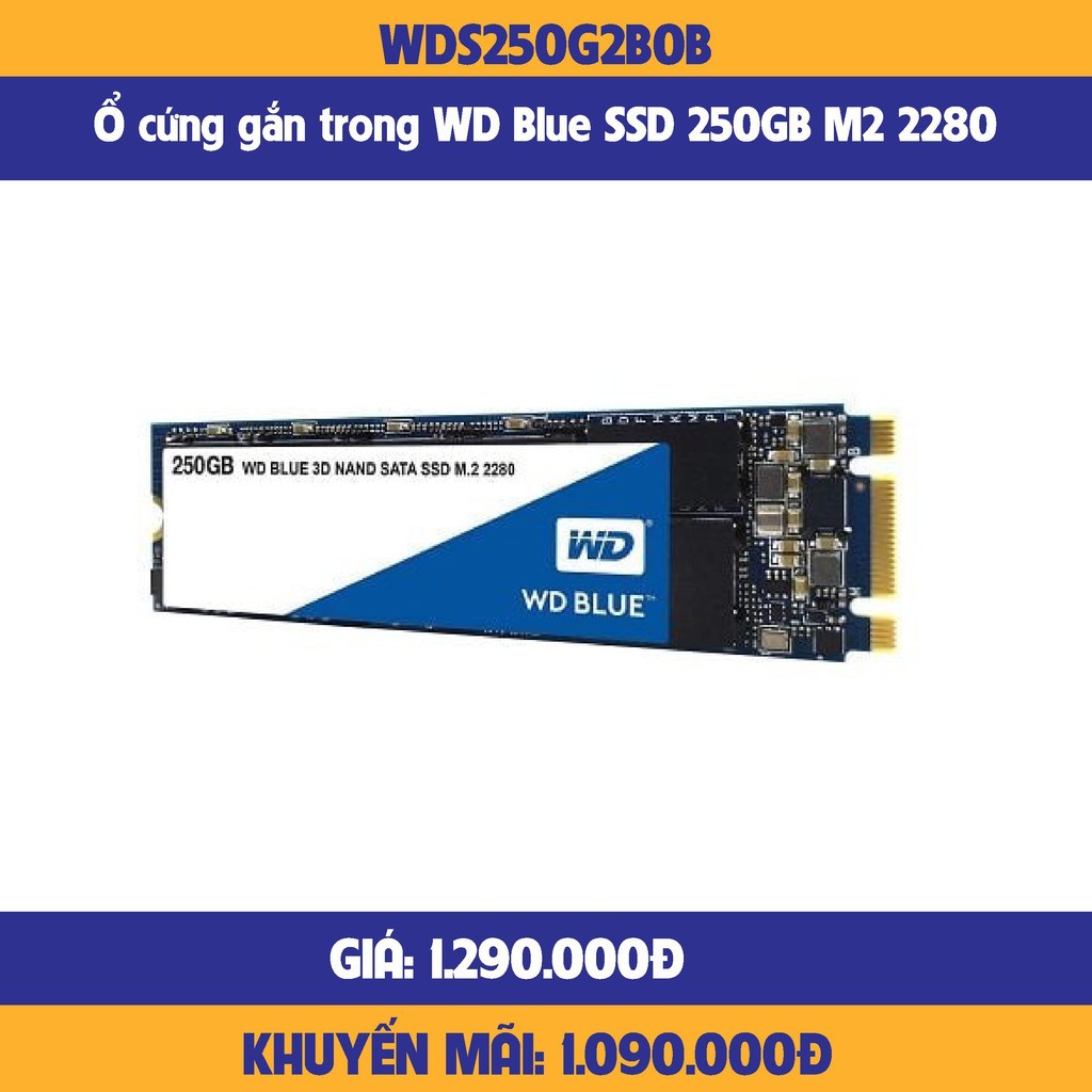 Ổ cứng SSD Western Digital WD Blue 250GB M.2 2280 SATA 3 - WDS250G2B0B-hàng chính hãng