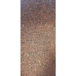250 gram hạt bạch đàn đỏ