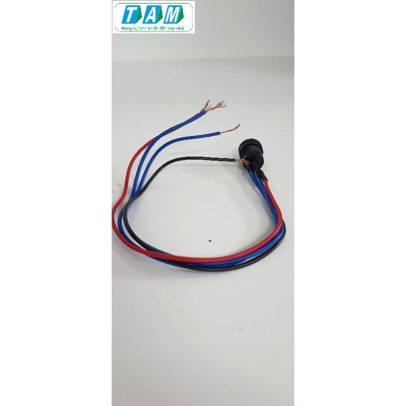 Đèn báo công tắc 4 chân 24V  dùng cho máy lọc nước và 1 vài ứng dụng khác