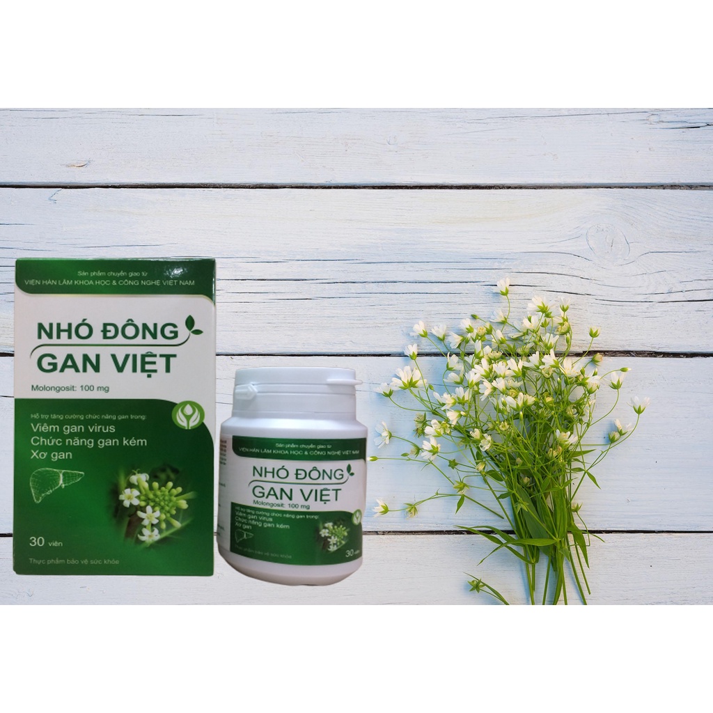 Nhó đông Gan Việt hỗ trợ tăng cường chức năng gan Viện Hàn Lâm Khoa Học Và Công Nghệ Việt Nam LIFECARE