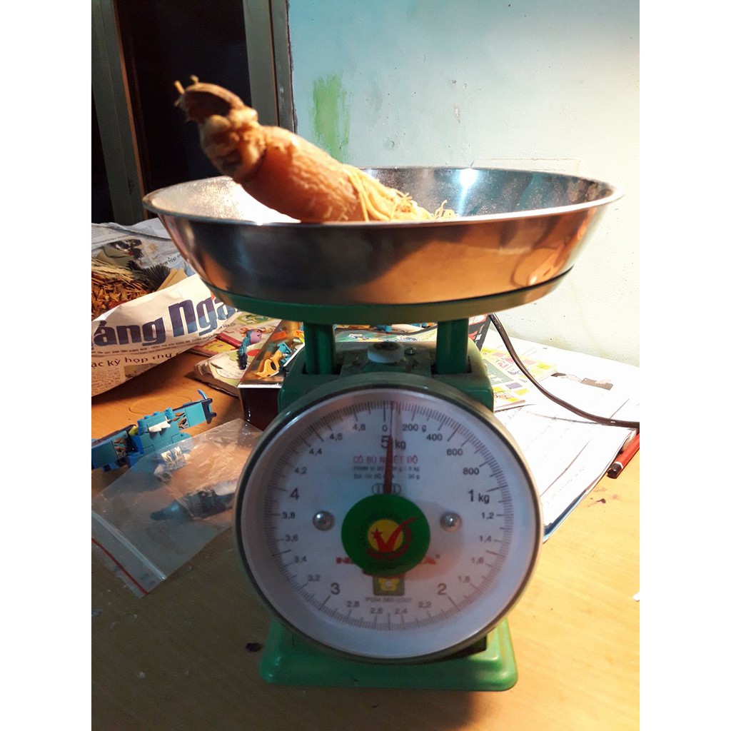 [FREESHIP 99K TOÀN QUỐC]NHÂN SÂM LOẠI 1 - 100Gr MÓN QUÀ CHO SỨC KHỎE | BigBuy360 - bigbuy360.vn