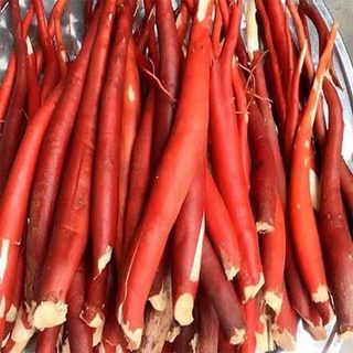 1kg Sâm cau đỏ - sâm cau rừng tây bắc