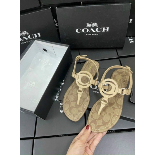 Giày Sandal Nữ COAC*H dạng kẹp ngón siêu xinh fullbox -Hàng xuất Dư hiếm