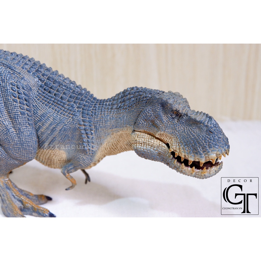 Mô hình Khủng Long T-rex - Dành cho trẻ 3 tuổi trở lên