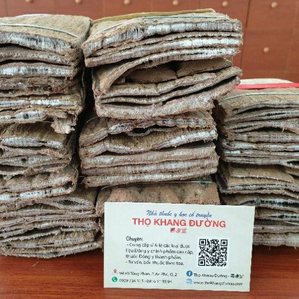 Đỗ trọng Tứ Xuyên bổ thận, hỗ trợ chứng đau lưng, mỏi gối