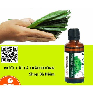 Nước Cất Lá Trầu Không