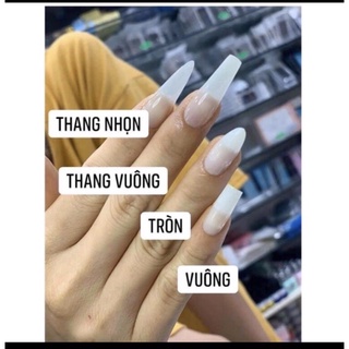 Móng giả thiết kế gấu