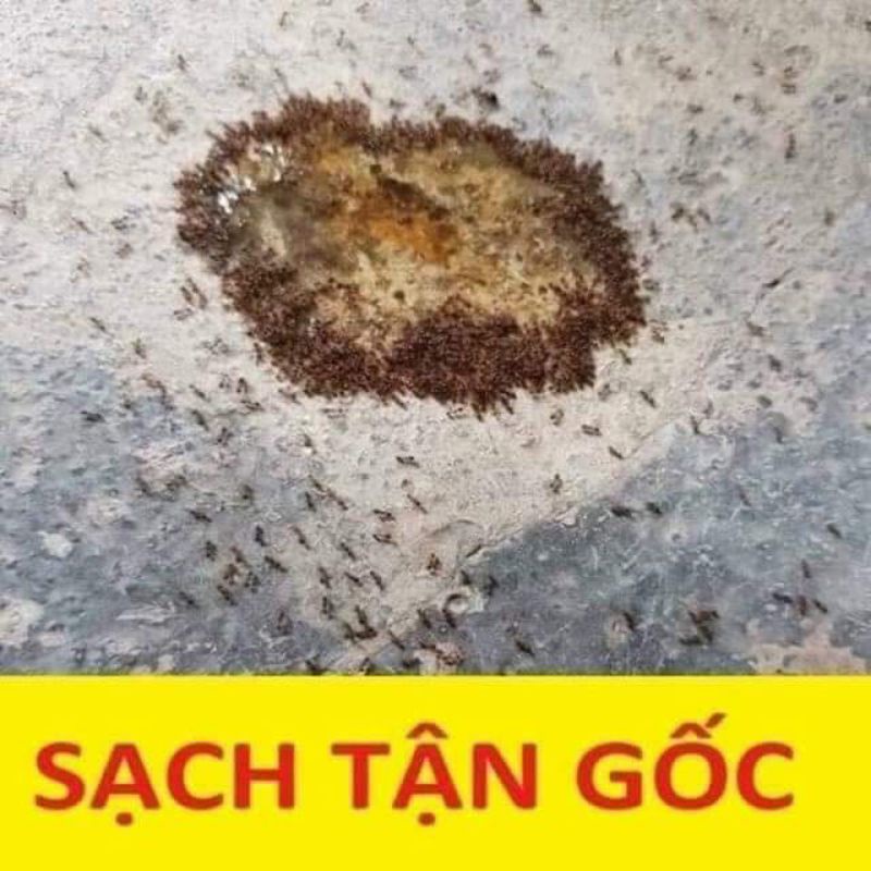Thuôc Diệt Kiến Gián Sinh Học Việt Nam