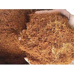 1kg - Mụn XƠ DỪA CHƯA XỬ LÝ. dùng để trộn đất ủ phân, che phủ bề mặt đất trồng. 5k/kg