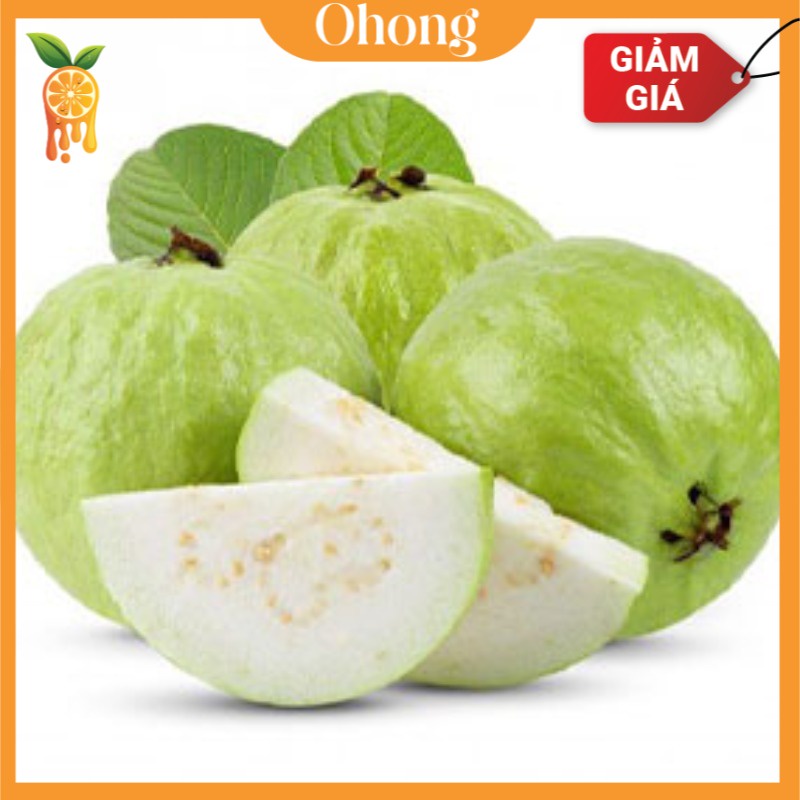 HCM - Ổi Nữ Hoàng Trà Vinh Mua Lẻ Giá Sỉ (kg) - [Giao nhanh TPHCM]