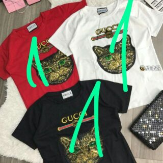 Combo áo phông kim sa