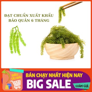 Rong nho phan rang 30gr nở 100gr hàng chuẩn xuất khẩu