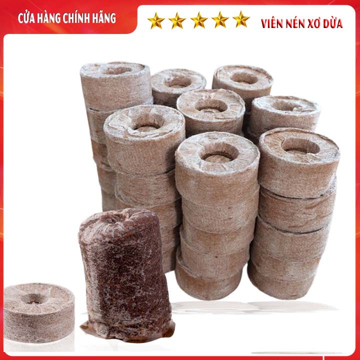 100 VIÊN NÉN XƠ DỪA Ươm Hạt Và Cây Giống Tiện Lợi
