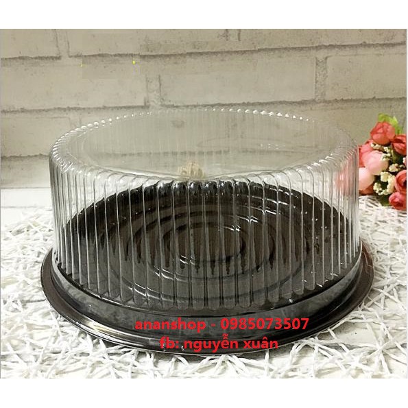 100 hộp nhựa nắp trong A016 - A024 (15-20cm)