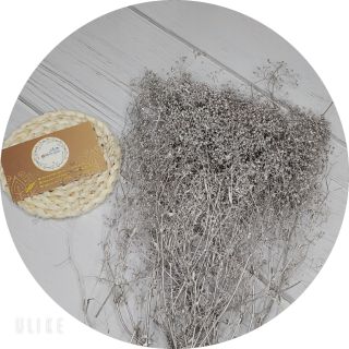 Hoa khô cài tóc cô dâu - Hoa baby khô