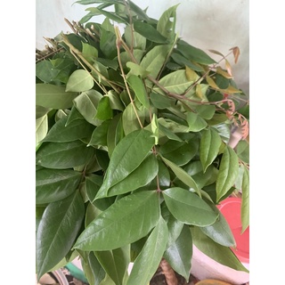 lá khế tươi 300g
