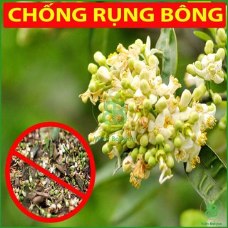 Phân Bón Lá Sinh Học Humic 1Lít