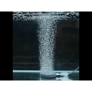 Sủi đĩa oxy siêu mịn
