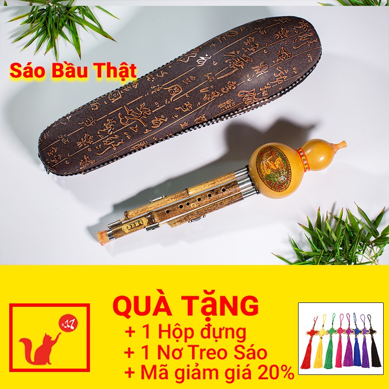 Sáo Bầu Rẻ 🎁FREESHIP🎁 Giảm Giá 20K Khi Nhập 🎁SAOTRUCMM🎁  Sáo Trúc Mão Mèo Chính Hãng