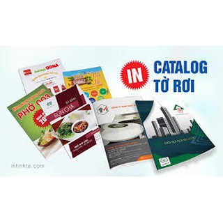 IN + Thiết kế CATALOG giá rẻ
