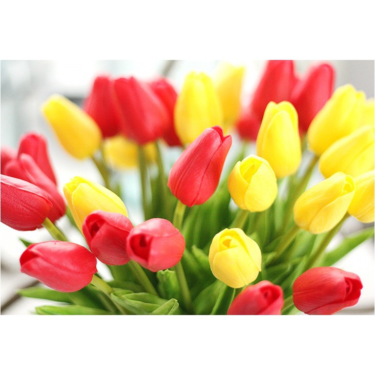 (Loại 1) Combo 10 Hoa lụa Hoa Tulip giống thật đến 99%