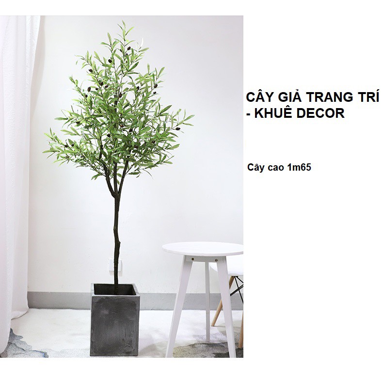 Cây oliu giả-cây olive cao cấp kèm chậu cói