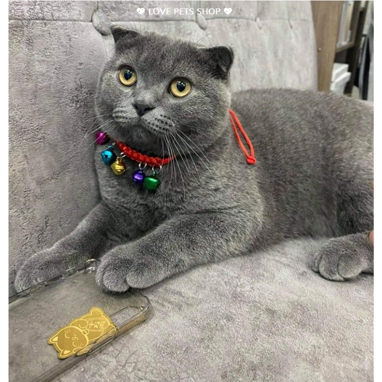 VÒNG CỔ CHO CHÓ MÈO NHỎ CÓ NHIỀU CHUÔNG &quot;MẪU MỚI&quot; - LOVE PETS SHOP