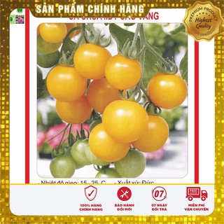 Hạt giống Cà Chua Bi Chùm vàng 30 Hạt