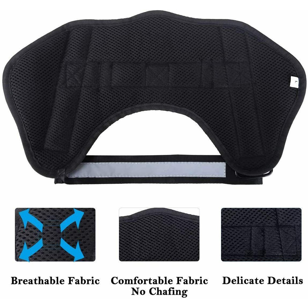 Áo Vest Không Tay Thoáng Khí An Toàn Dành Cho Thú Cưng