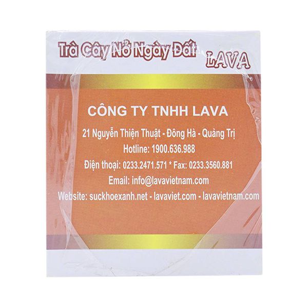 TRÀ CÂY NỠ NGÀY ĐÁT LAVA GIẢI PHÁP CHO VẤN ĐỀ GÚT