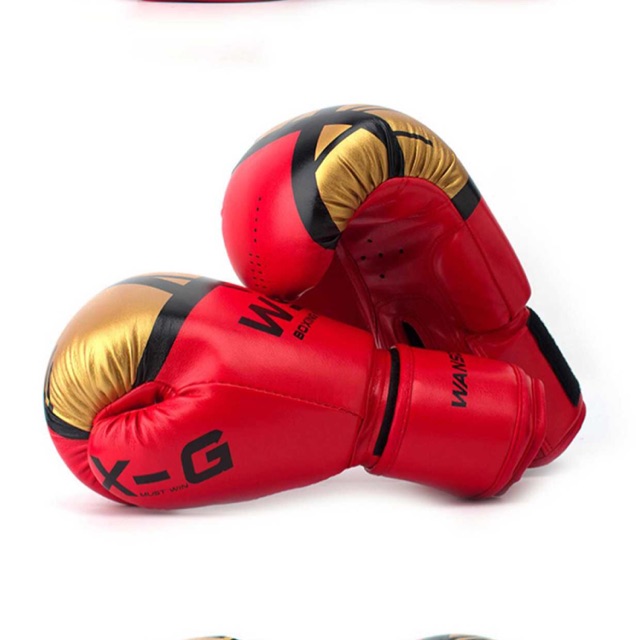 Găng tay boxing WSD cao cấp