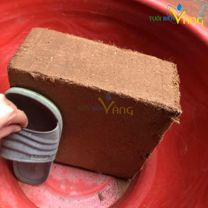 Viên nén sơ dừa 5kg tương đương 1 bao mùn sơ dừa ươm trồng cây