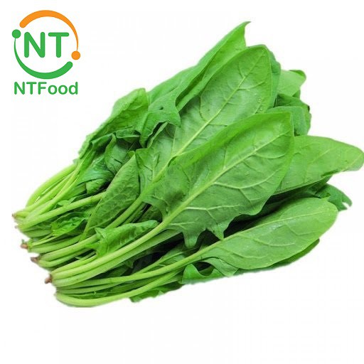[HCM] Cải bó xôi Đà Lạt NTFood - tươi ngon mỗi ngày - Nhất Tín Food