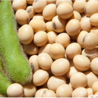 Đậu đỏ hữu cơ 1kg