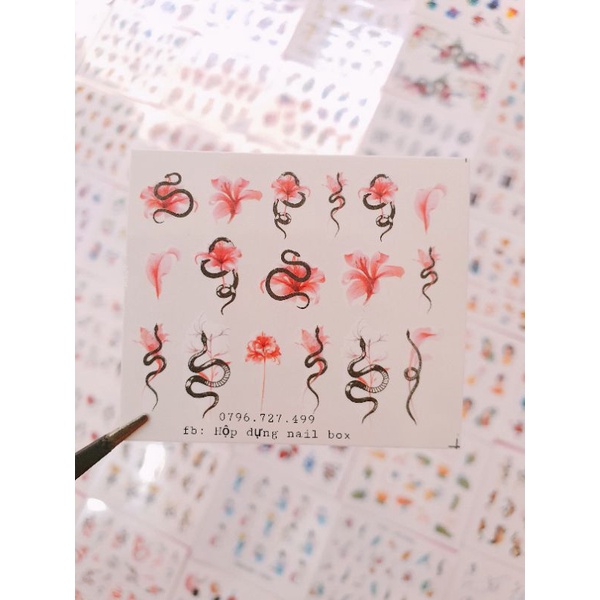 sticker rắn